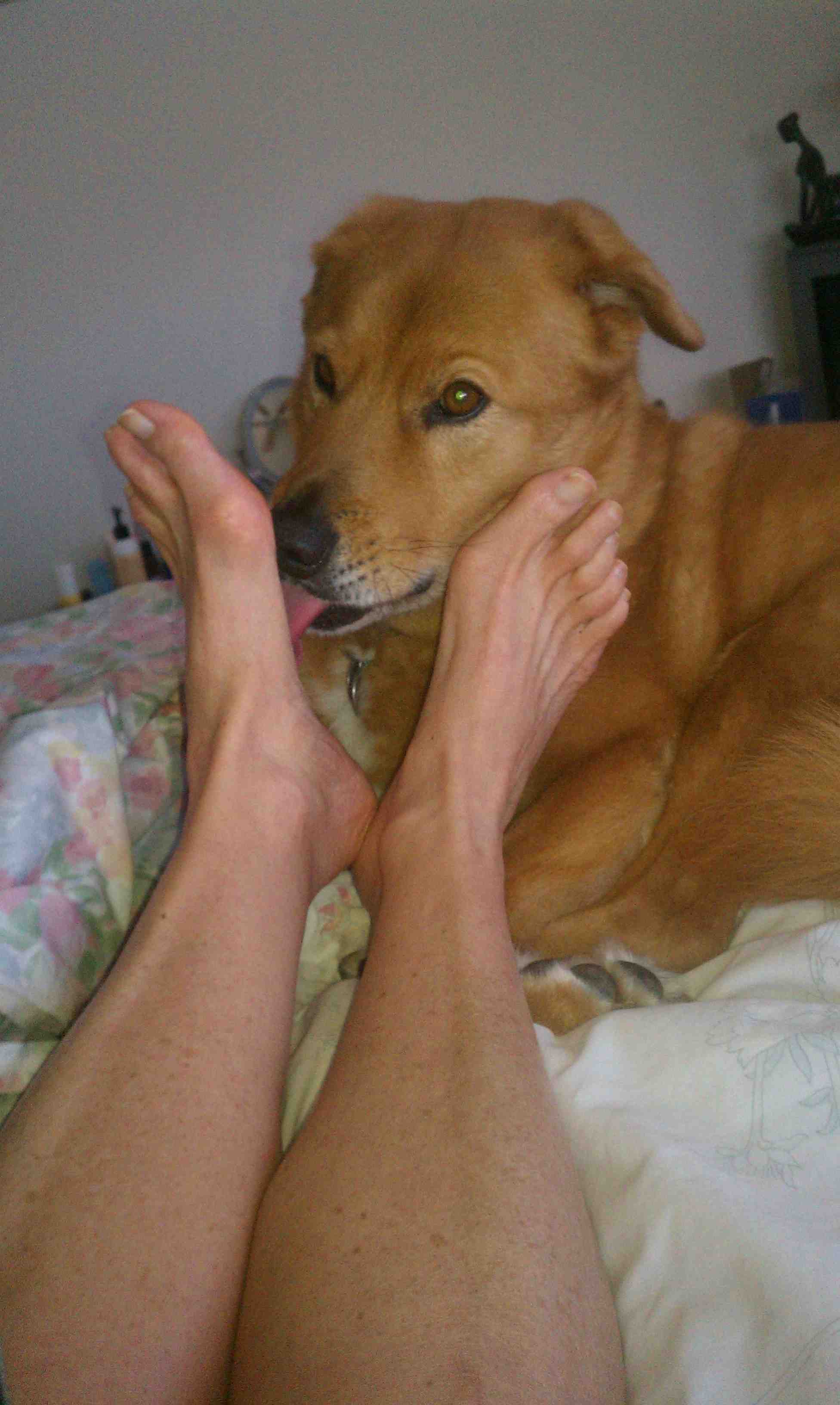 Goddess puppy feet licking images